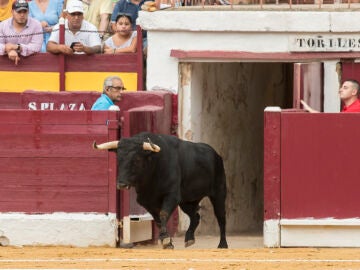 Toro de la ganadería de Daniel Ruiz