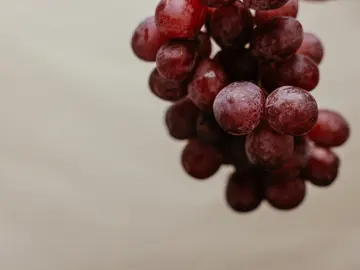 Racimo de uvas negras Racimo de uvas negras