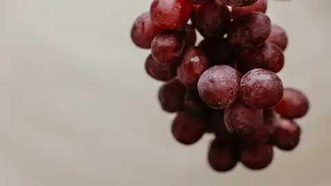 Racimo de uvas negras Racimo de uvas negras