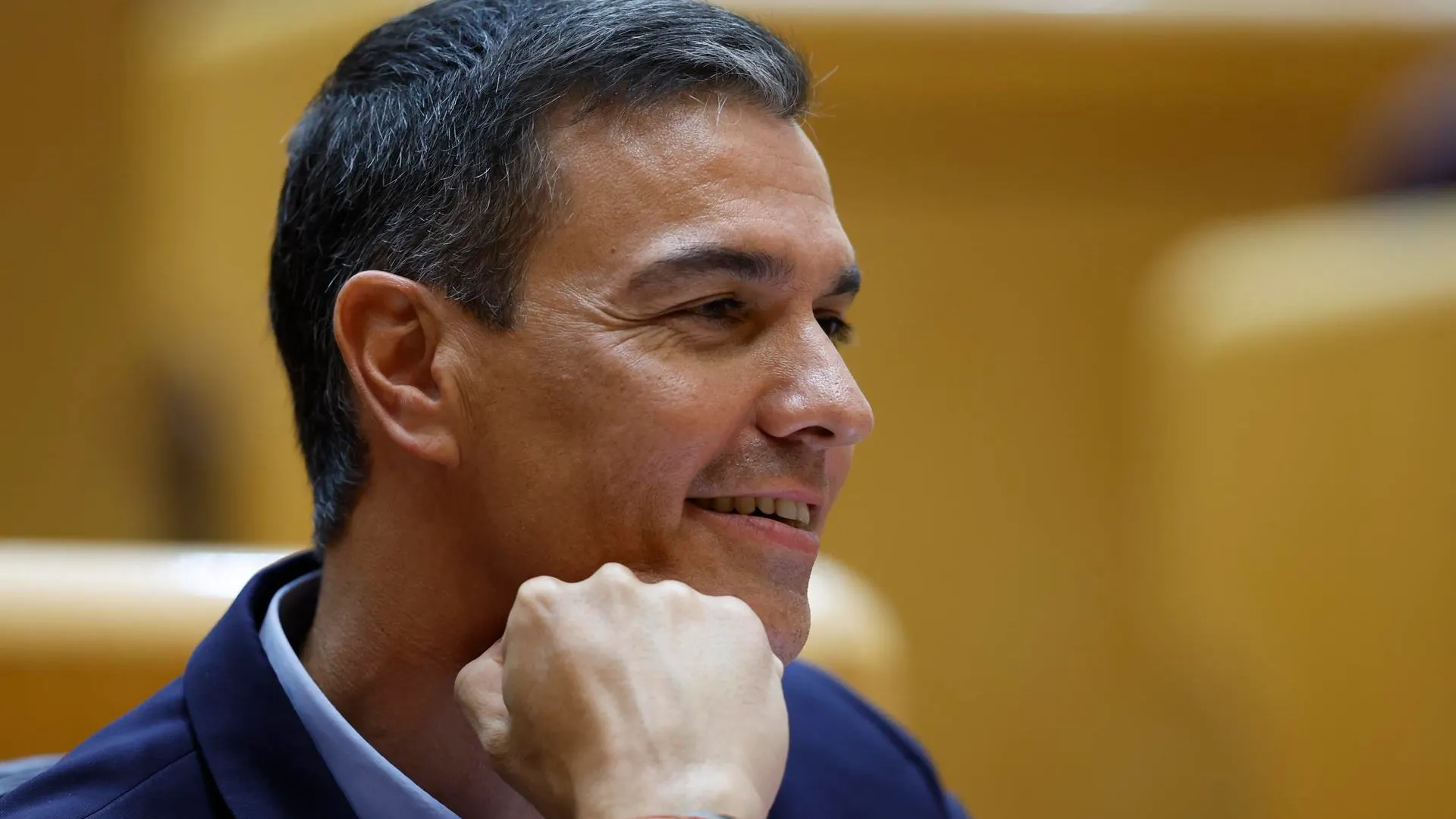 Pedro S&aacute;nchez