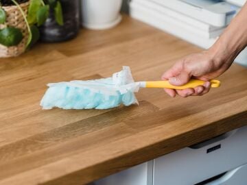 Limpieza del hogar 