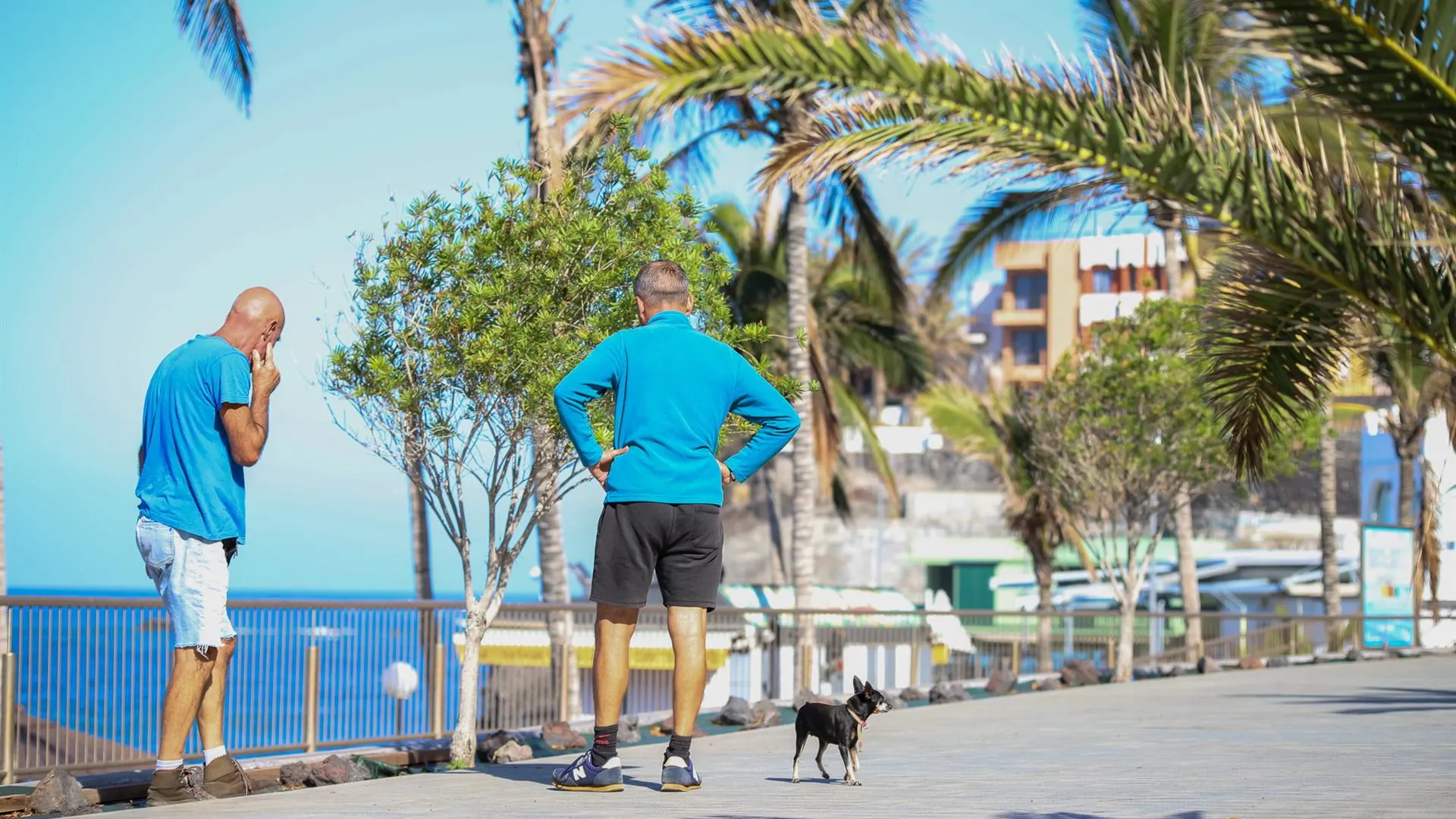 El turismo se resiente en la isla de La Palma