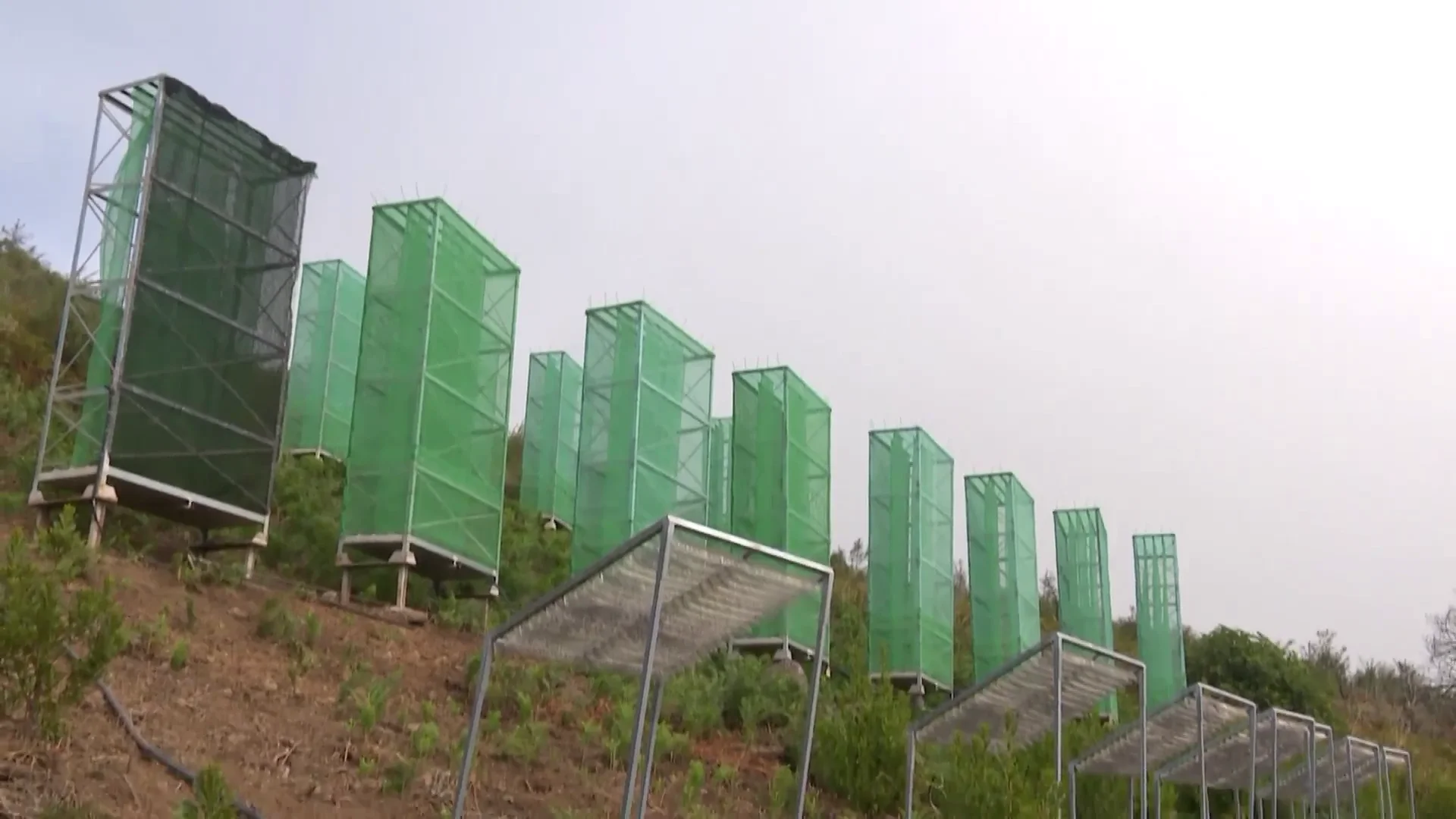 El innovador proyecto para lograr agua en Canarias