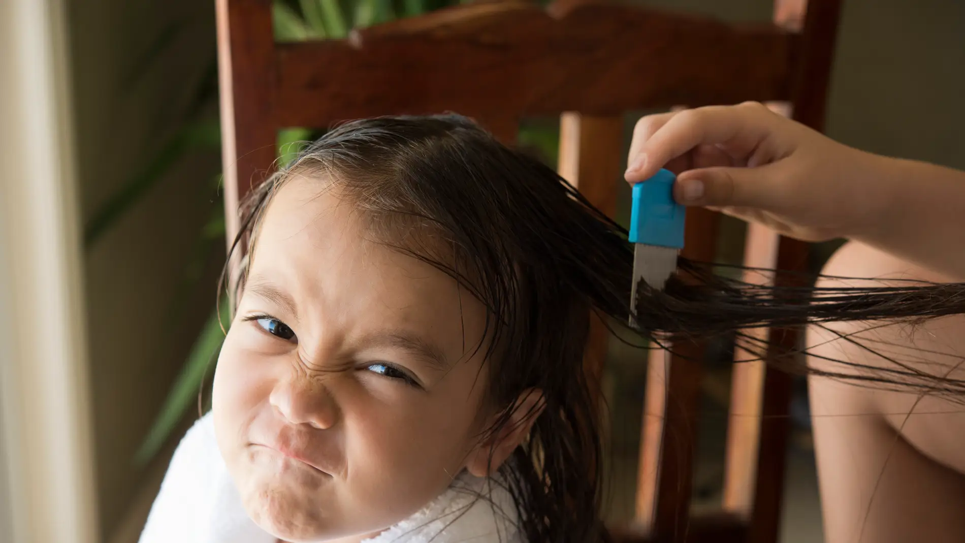 Peinado con lendrera el pelo de una niña con el pelo mojado.
