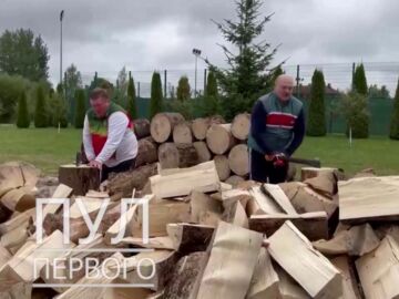 El presidente de Bielorrusia cortando leña