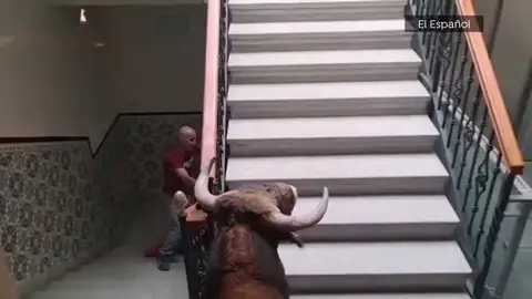 El toro en el interior del Ayuntamiento El toro en el interior del Ayuntamiento