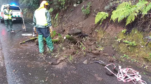 Hermine deja a su paso varios incidentes Hermine deja a su paso varios incidentes