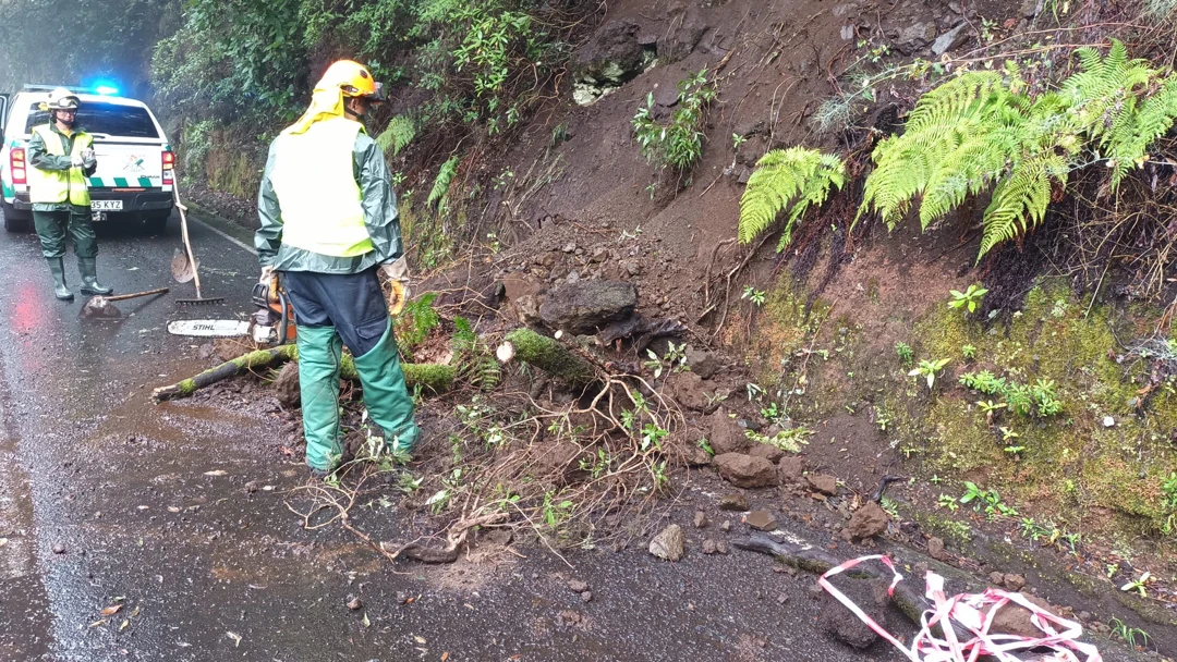 Hermine deja a su paso varios incidentes Hermine deja a su paso varios incidentes