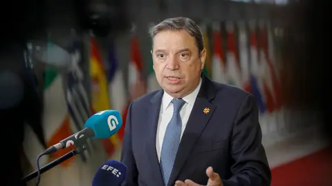 El ministro de Agricultura y Pesca, Luis Planas El ministro de Agricultura y Pesca, Luis Planas