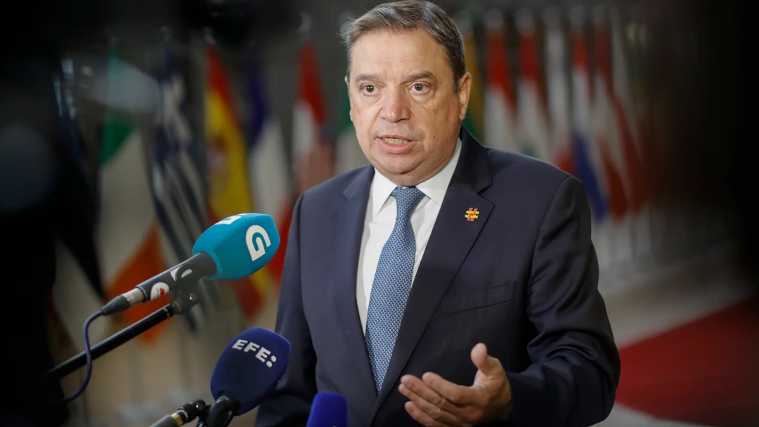 El ministro de Agricultura y Pesca, Luis Planas El ministro de Agricultura y Pesca, Luis Planas