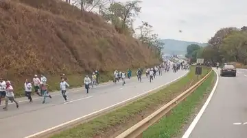 Ultras de Palmeiras y Cruzeiro se enfrentan en una brutal pelea y obligan a cortar una autopista de Brasil Ultras de Palmeiras y Cruzeiro se enfrentan en una brutal pelea y obligan a cortar una autopista de Brasil