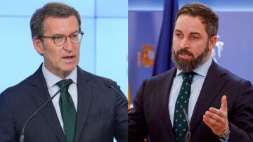 Núñez Feijóo y Santiago Abascal