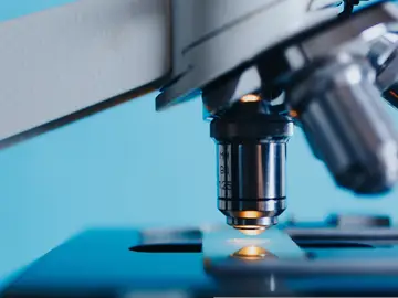 Rompen el escudo de las bacterias que las hace resistentes a los antibióticos Rompen el escudo de las bacterias que las hace resistentes a los antibióticos