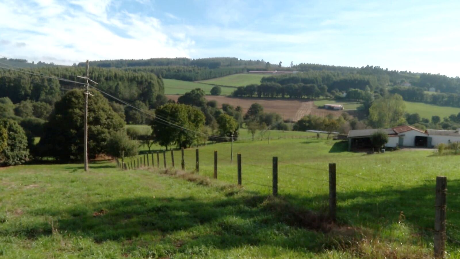 Marcharse para poder volver a Galicia: 