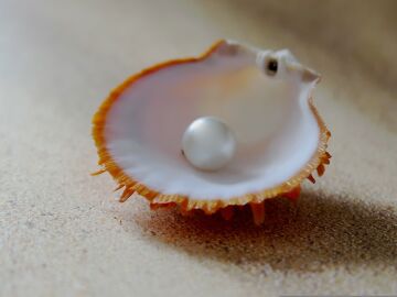 La imagen de una perla