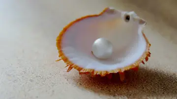 La imagen de una perla