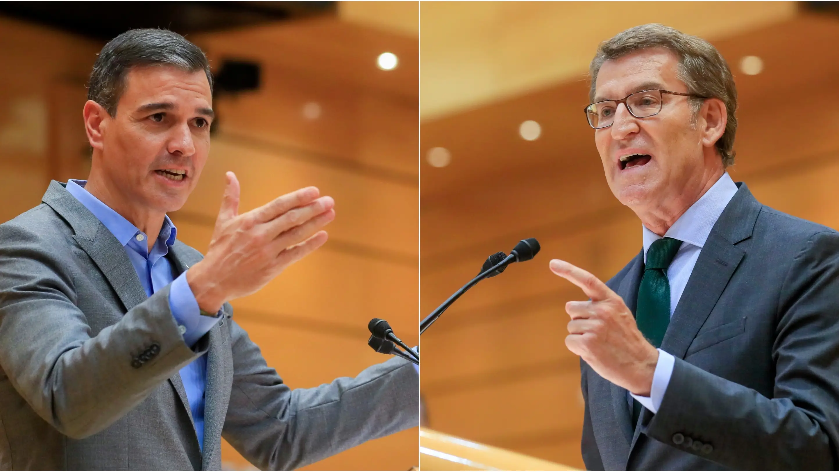 Pedro S&aacute;nchez y Alberto N&uacute;&ntilde;ez Feij&oacute;o