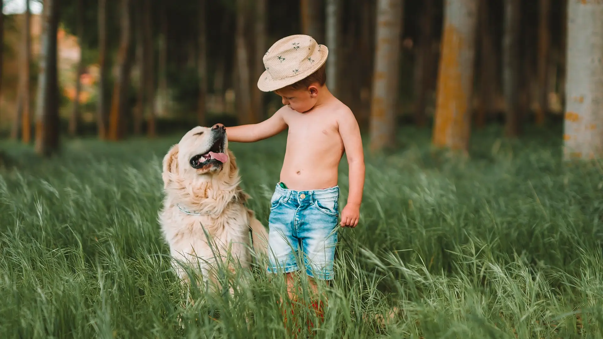 Imagen de un niño junto a un perro Imagen de un niño junto a un perro