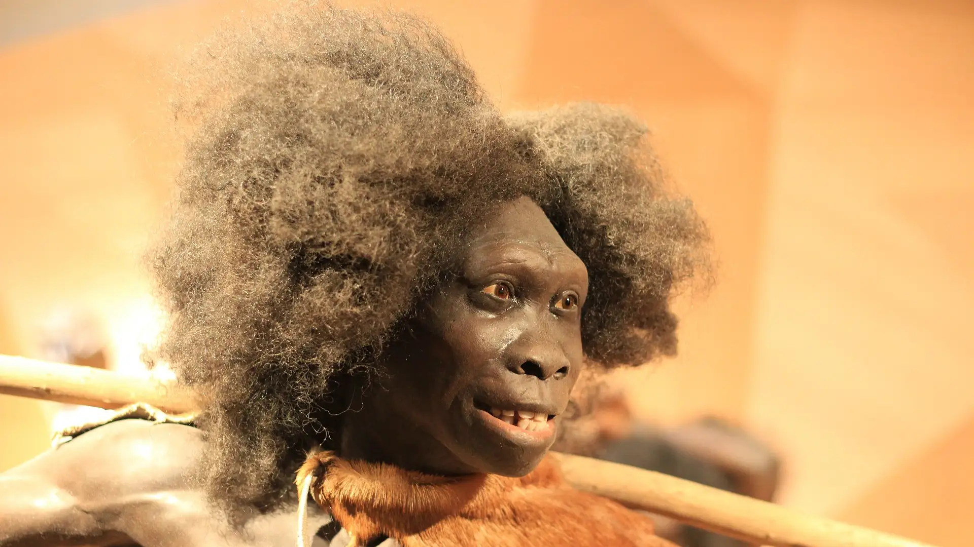 El ADN muestra por primera vez cómo era una familia neandertal El ADN muestra por primera vez cómo era una familia neandertal
