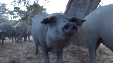 Caceroladas en un pueblo de Extremadura contra la instalación del macrovertedero más grande de España 