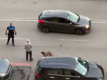 El agresor pasea con su perro cuando la Policía va a detenerle