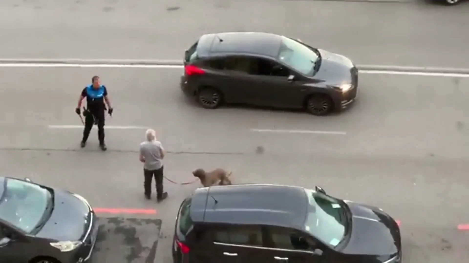 El agresor pasea con su perro cuando la Policía va a detenerle El agresor pasea con su perro cuando la Policía va a detenerle
