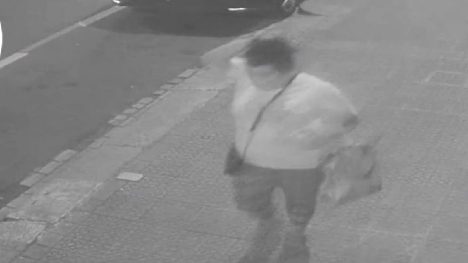 La secuestradora del bebé de Bilbao se colocó un cojín en el vientre y enseñaba ecografías a su entorno