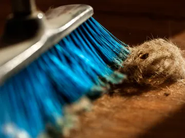 Escoba con pelusas Escoba con pelusas