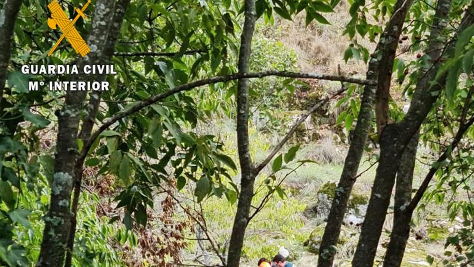 Muere una mujer al caer al río en la zona de Los Pilones en Jerte, Cáceres