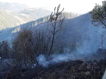 Terreno incendiado en Balmaseda Terreno incendiado en Balmaseda