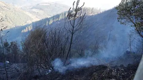 Terreno incendiado en Balmaseda Terreno incendiado en Balmaseda