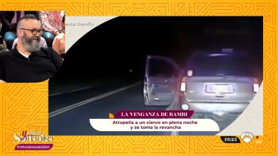 Los vídeos más impactantes de internet: El karma de la naturaleza y el peligro de levantar demasiado peso en el gimnasio, ¡las flatulencias!