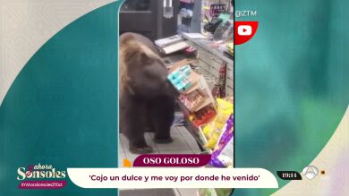 El vídeo viral del oso que roba chocolatinas en una gasolinera
