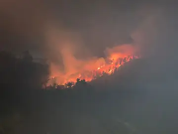 Incendio forestal en Vizcaya Incendio forestal en Vizcaya