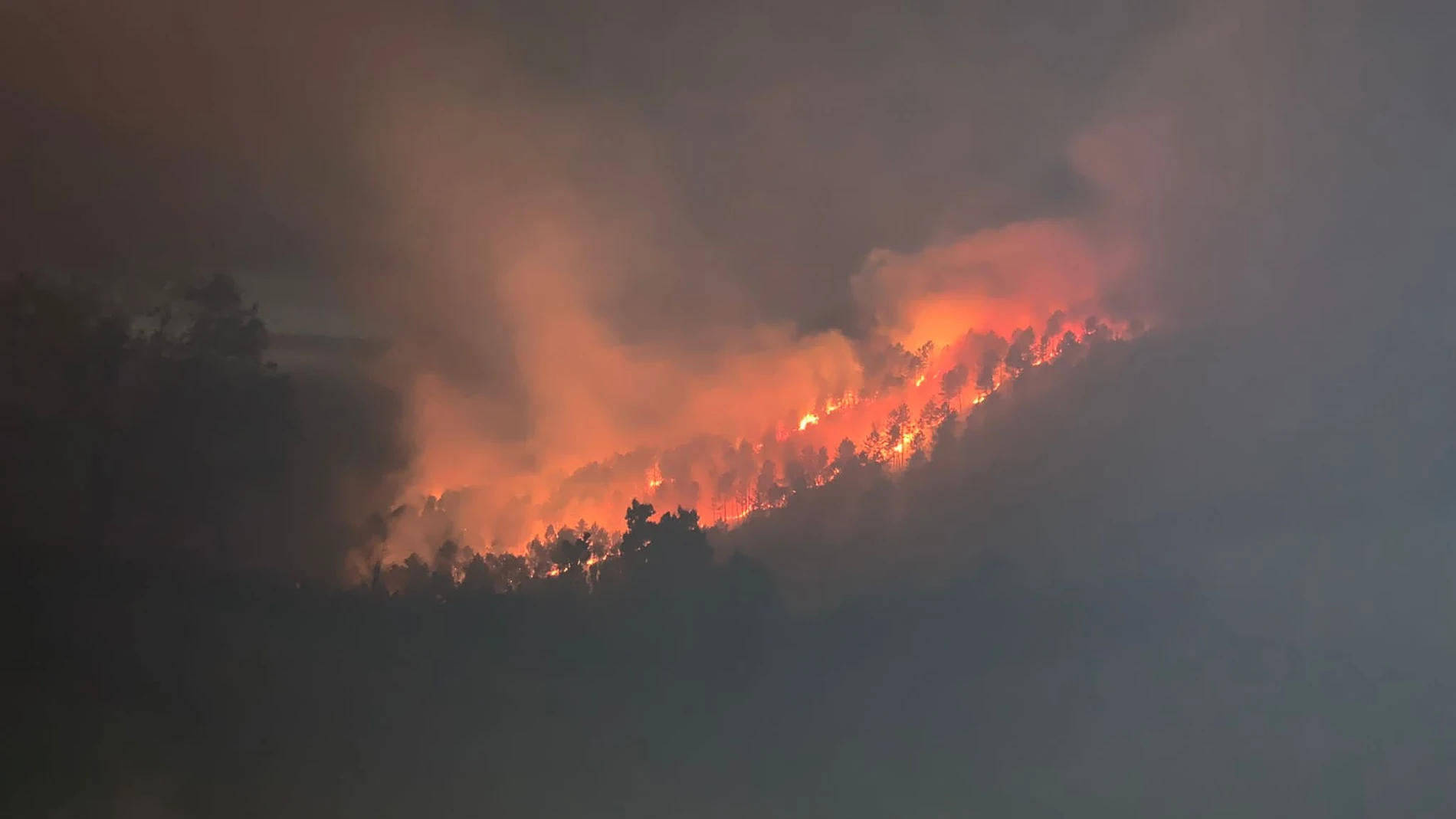 Incendio forestal en Vizcaya