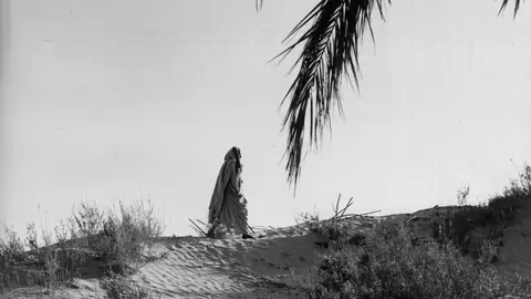 Efemérides del 6 de noviembre de 2022: Marruecos invade el Sáhara Efemérides del 6 de noviembre de 2022: Marruecos invade el Sáhara