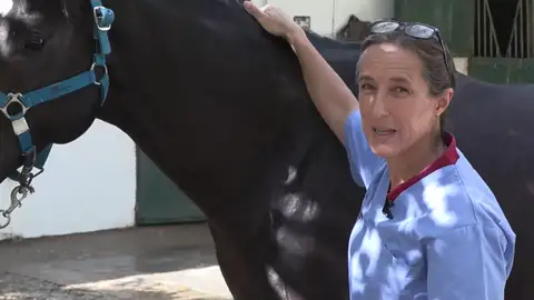Una de las cuidadoras de caballos en el hipódromo de la Zarzuela Una de las cuidadoras de caballos en el hipódromo de la Zarzuela