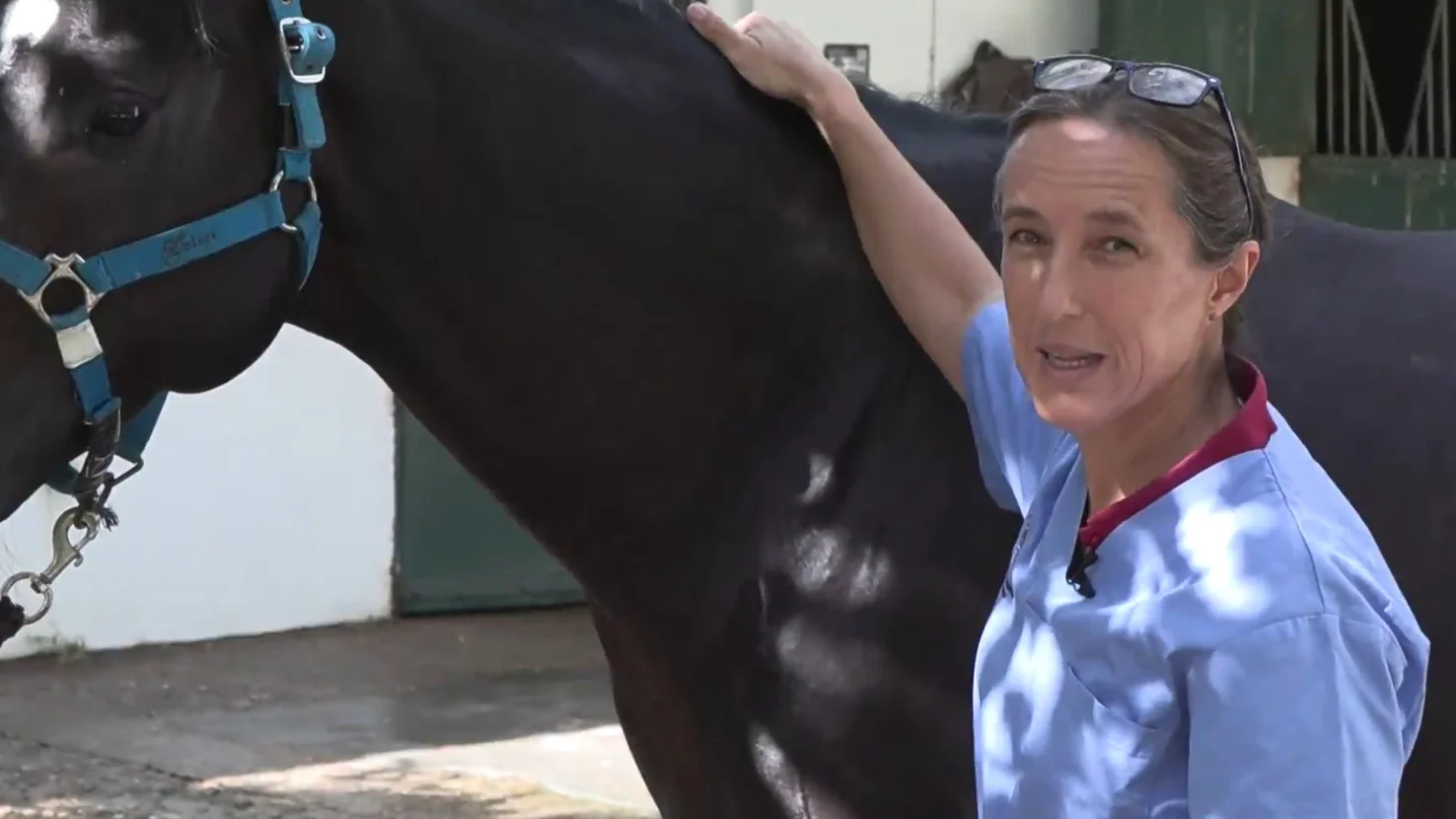 Una de las cuidadoras de caballos en el hip&oacute;dromo de la Zarzuela