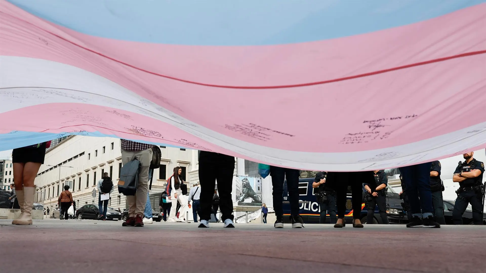 La bandera trans a las puertas del Congreso La bandera trans a las puertas del Congreso