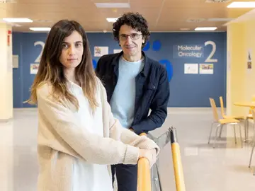 Los investigadores Marcos Malumbres y Carolina Villarroya-Beltri, del CNIO Los investigadores Marcos Malumbres y Carolina Villarroya-Beltri, del CNIO