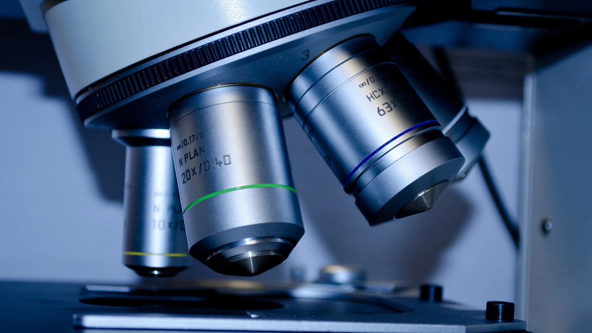 Investigación contra la esclerosis múltiple Investigación contra la esclerosis múltiple