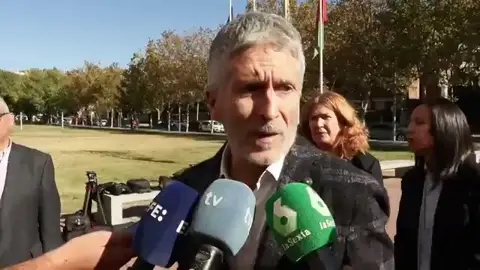 El ministro del Interior, Fernando Grande-Marlaska El ministro del Interior, Fernando Grande-Marlaska