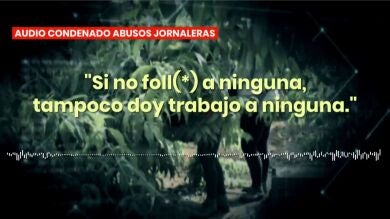 El empresario condenado por abusar de sus jornaleras violó hasta 9 veces a una de las trabajadoras