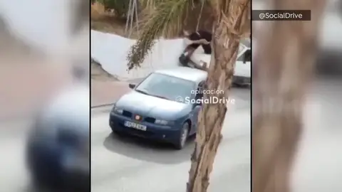 Atropello en Málaga Atropello en Málaga