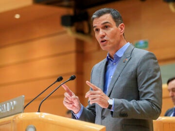 Pedro Sánchez