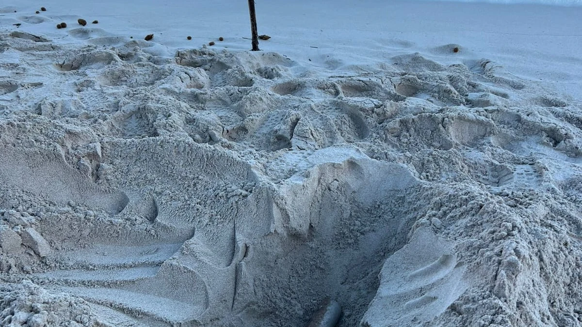 Imagen del artefacto explosivo en la playa de Manacor