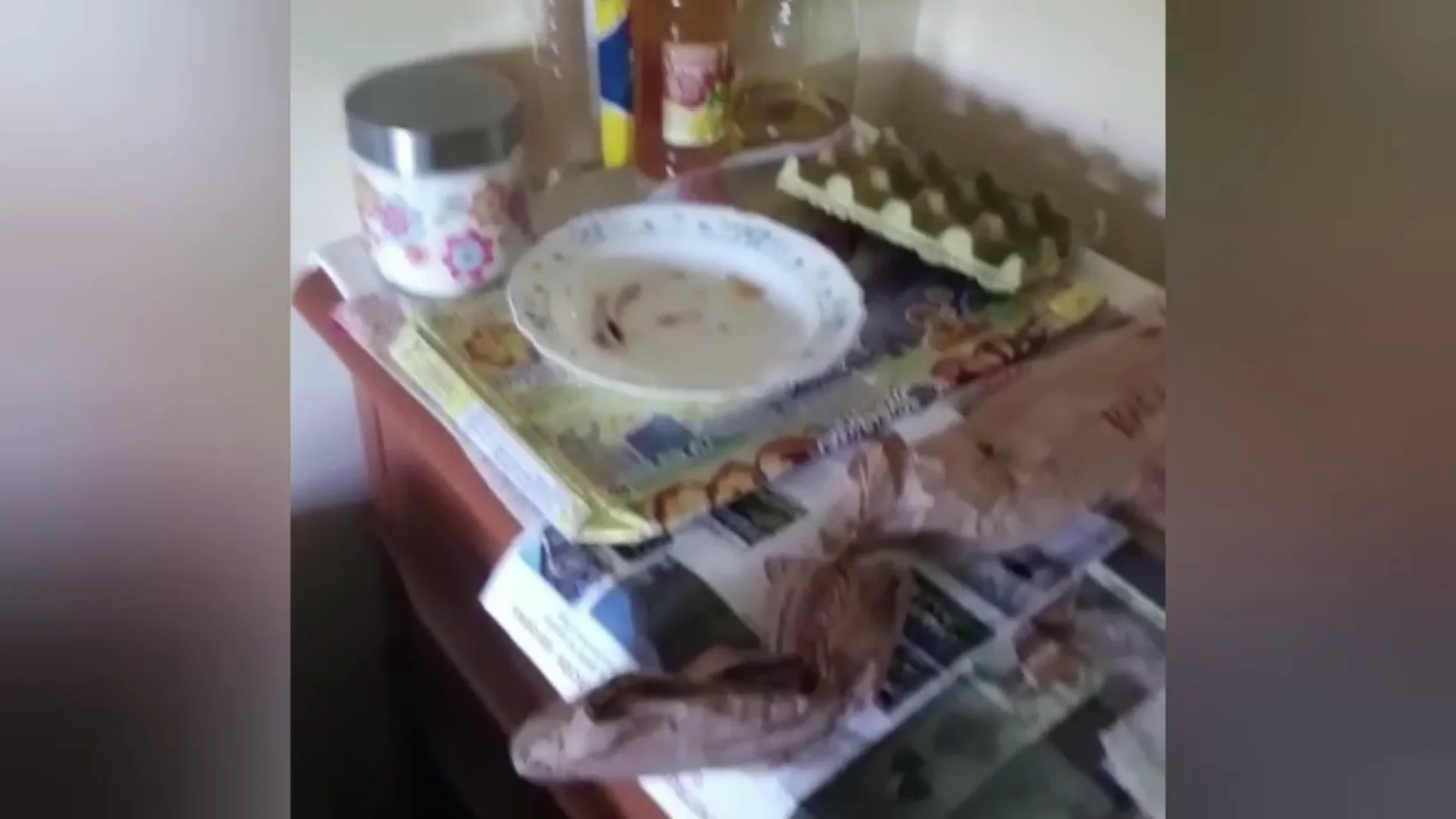 Una familia de Vigo recupera su casa tras ser 'okupada': "La mierda que hay es espantosa"