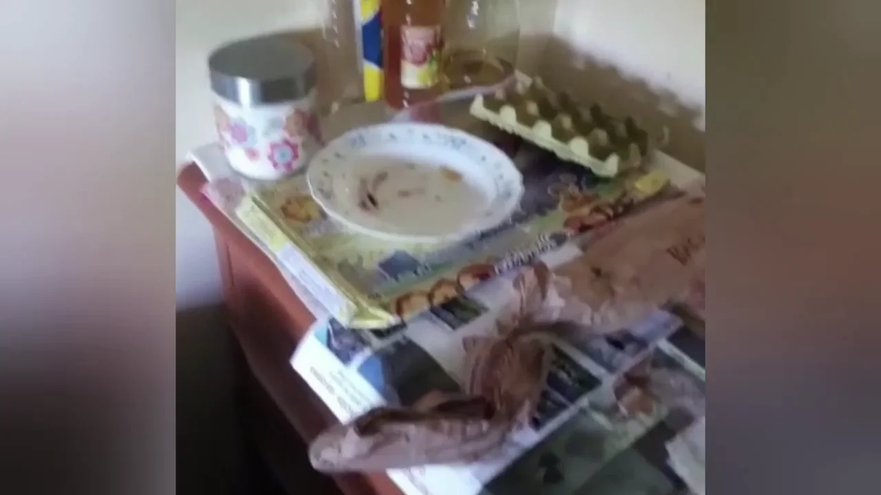 Una familia de Vigo recupera su casa tras ser 'okupada': "La mierda que hay es espantosa" Una familia de Vigo recupera su casa tras ser 'okupada': "La mierda que hay es espantosa"