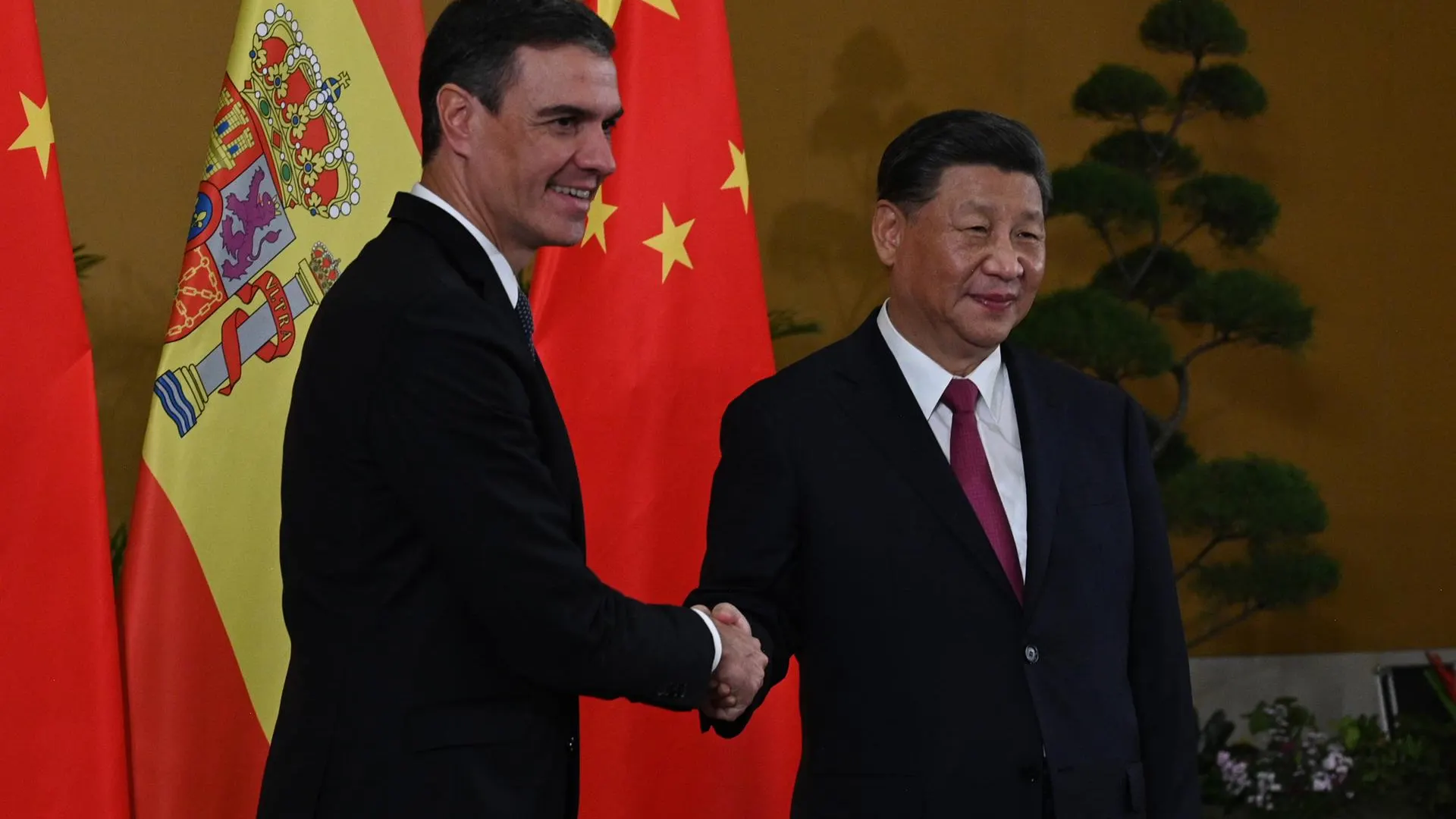 Pedro S&aacute;nchez y Xi Jingping, reunidos en la cumbre del G20