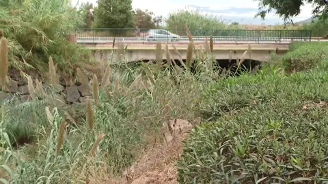 Menor retenida en Málaga Menor retenida en Málaga